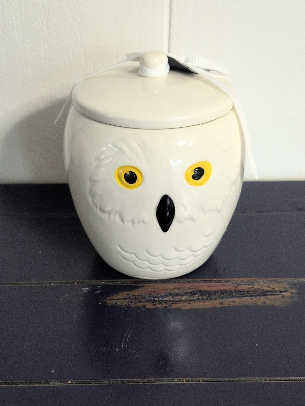 RAE DUNN X HARRY POTTER HEDWIG